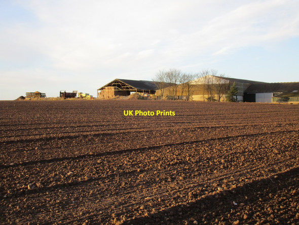 Photo 6"x4" Prepared field and Southend Farm Easington\/TA3919 c2017