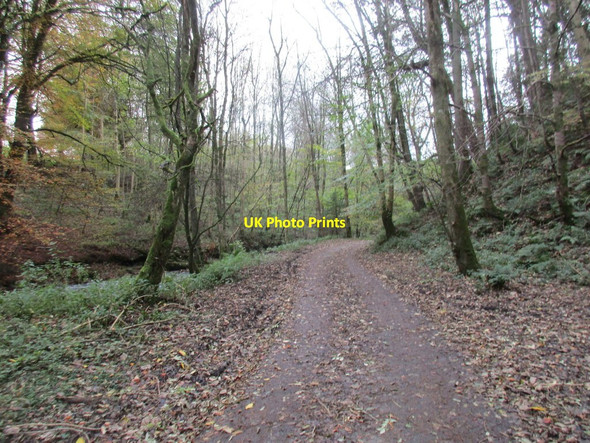 Photo 6"x4" The road to Leithenhall Gateside\/NY1194 c2017