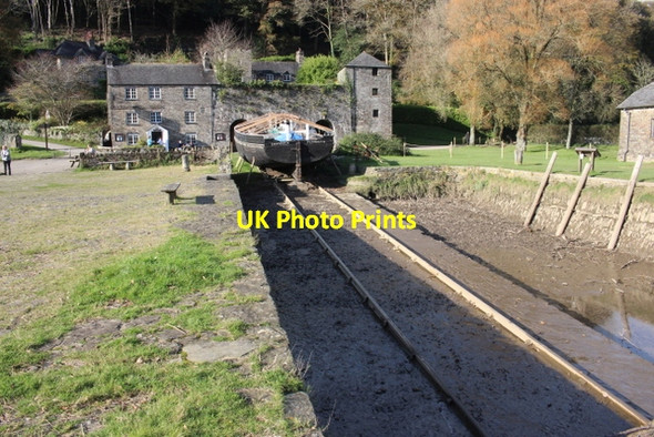 Photo 6"x4" Shamrock at Cothele Quay Calstock c2017