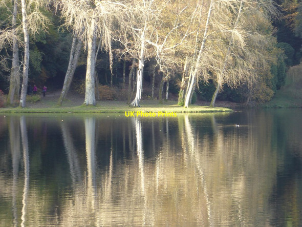 Photo 6"x4" Trees reflected in the Garden Lake, Stourhead Gardens Stourton\/ST7734 c2017