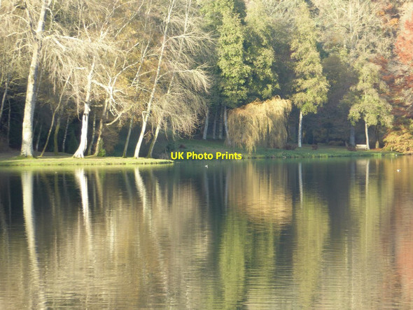 Photo 6"x4" Trees reflected in Garden Lake Stourton\/ST7734 c2017