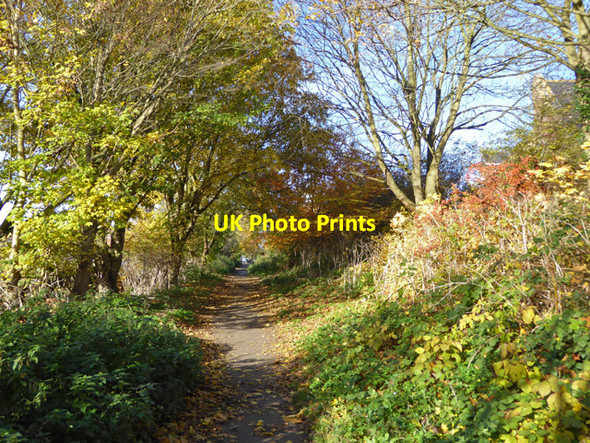 Photo 6"x4" Hadleigh Railway Walk Hadleigh\/TM0242 c2017