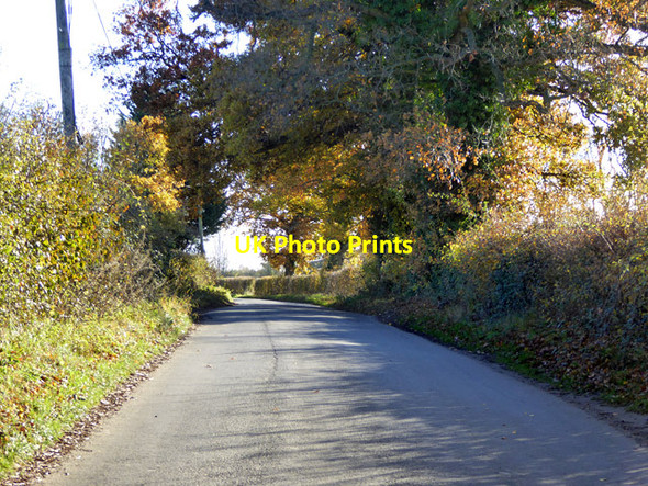Photo 6"x4" Clay Hill Coles Green\/TM0941 c2017