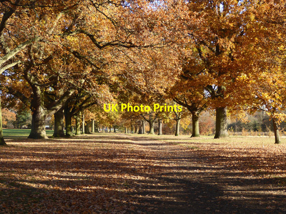 Photo 6"x4" Corporation Avenue, Bourne Park, Ipswich Maidenhall\/TM1542 c2017
