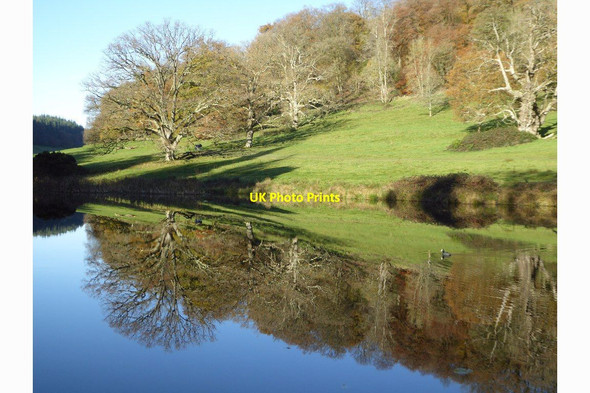 Photo 6"x4" Lily Pond, Stourhead Stourton\/ST7734 c2017