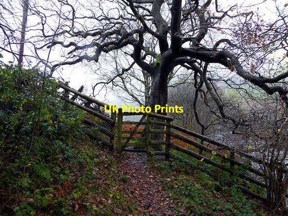 Photo 6"x4" Gate on the path Aberffrwd\/SN6878 c2017