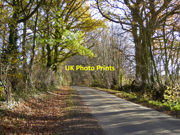 Photo 6"x4" Country lane Polstead c2017