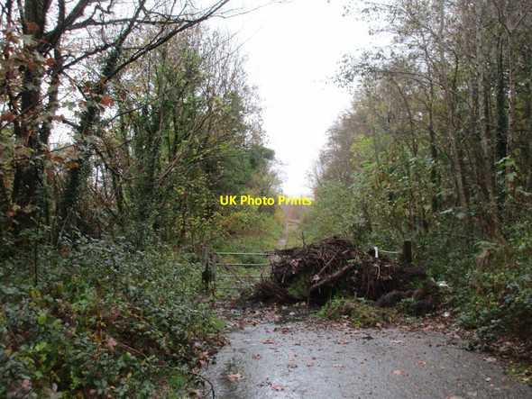 Photo 6"x4" Closed road Wemyss Bay\/NS1969 c2017