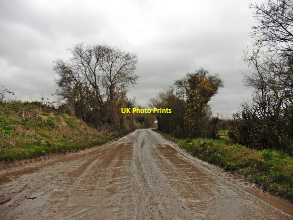 Photo 6"x4" Thornhill Drove Witcombe c2017