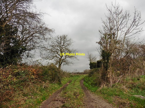 Photo 6"x4" Track leading north from Thornhill Drove Witcombe c2017