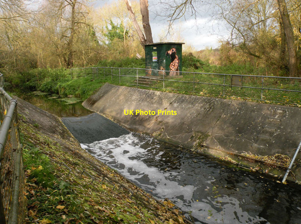 Photo 6"x4" Sturmer gauging station Calford Green c2017