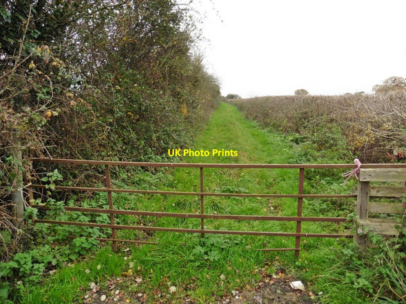Photo 6"x4" Ilchester Mead Drove Ilchester Mead c2017