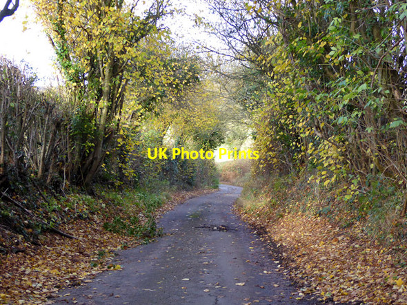 Photo 6"x4" Hotley Bottom Lane Hotley Bottom c2017