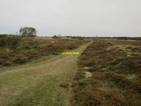 Photo 6"x4" Winterton Dunes East Somerton c2017