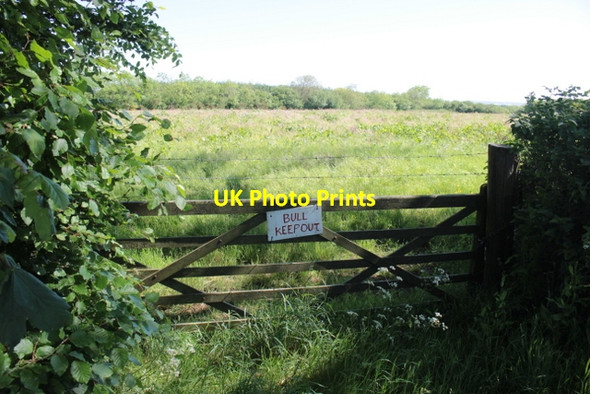 Photo 6"x4" Field at Simpson Moor Hollacombe\/SS3703 c2017