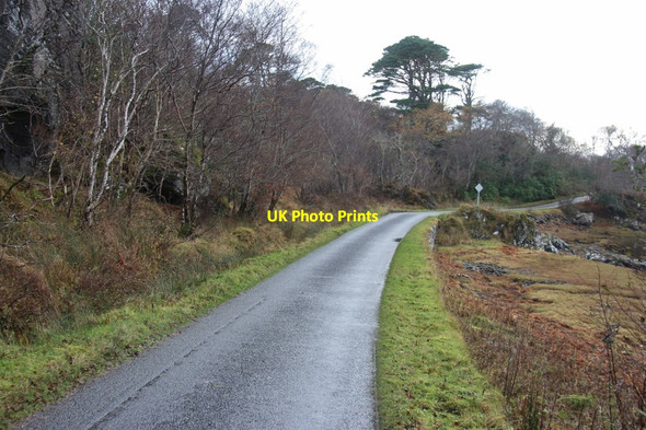 Photo 6"x4" Rhue road at Morroch Arisaig\/Arasaig c2017