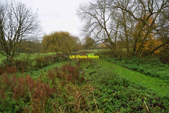 Photo 6"x4" Cuttle Brook, Thame, Oxon Thame c2017