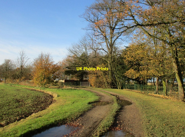 Photo 6"x4" Track near Enholmes Hall Patrington Haven c2017