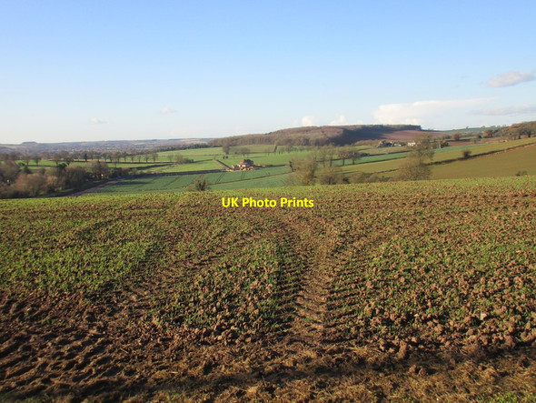 Photo 6"x4" View towards Epperstone Park from Hagg Lane Epperstone c2017