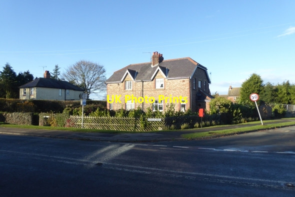 Photo 6"x4" Houses on Moor Lane Bilton in Ainsty c2017
