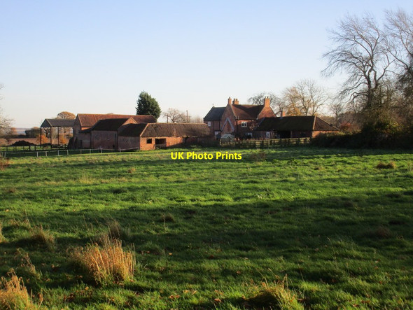 Photo 6"x4" Hagg Farm Gonalston c2017