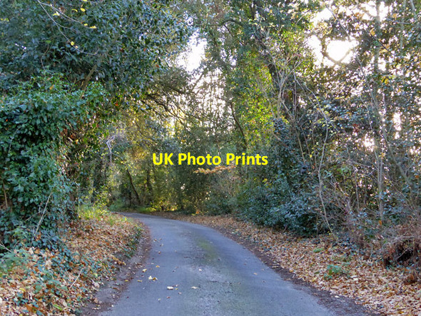 Photo 6"x4" The Drift, Stutton Lower Street\/TM1534 c2017