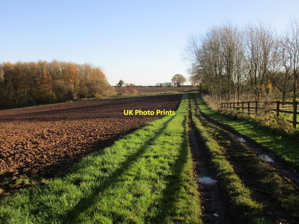 Photo 6"x4" Farm track near Hagg Farm Gonalston c2017
