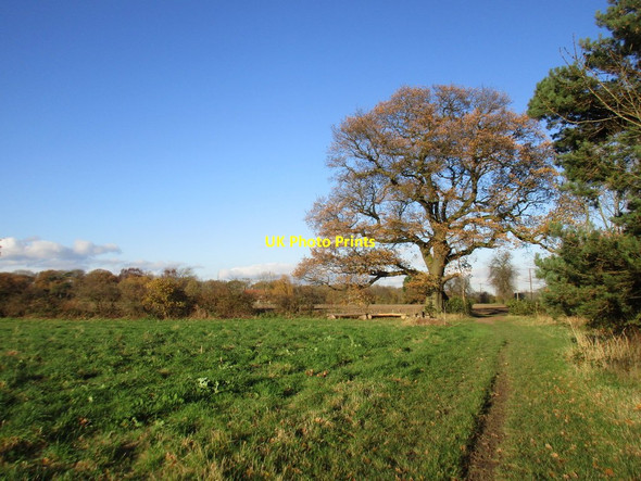 Photo 6"x4" Bridleway near Hagg Cottage Gonalston c2017