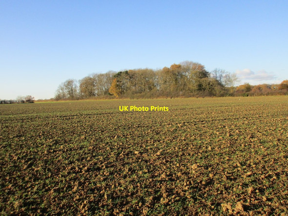 Photo 6"x4" Bentley Wood Epperstone c2017