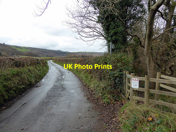 Photo 6"x4" The lane to Nantyronen Aberffrwd\/SN6878 c2017