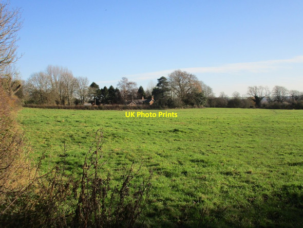 Photo 6"x4" Grass field at Gonalston Gonalston c2017