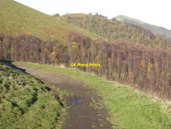 Photo 6"x4" View along the eastern face of the Malvern Hills Brand Green\/SO7641 c2017