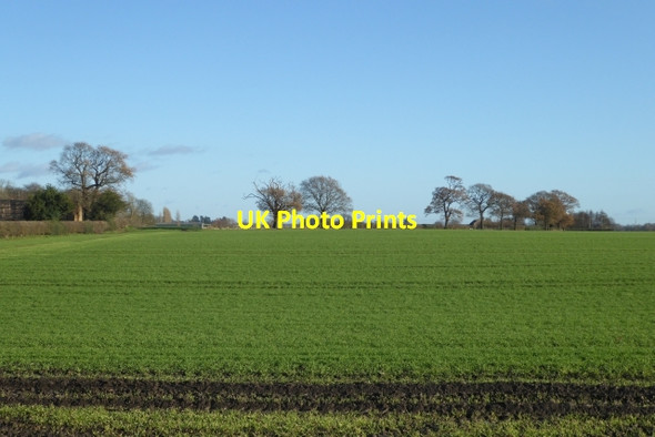 Photo 6"x4" Farmland near Bickerton Spring Bickerton\/SE4550 c2017
