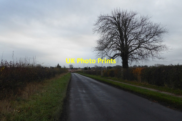 Photo 6"x4" Boston Road Clifford\/SE4244 c2017