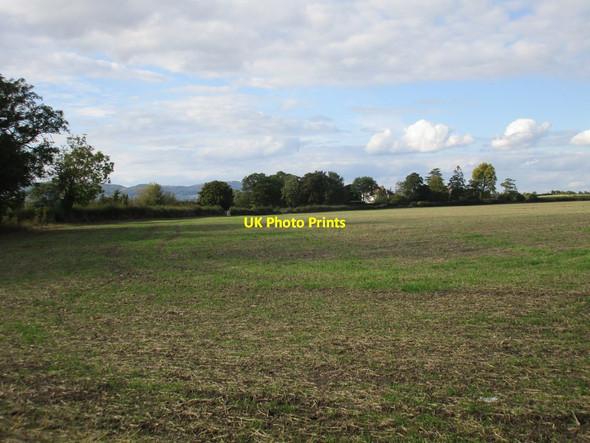 Photo 6"x4" View towards The Rectory, Pendock Hardwick Green c2017