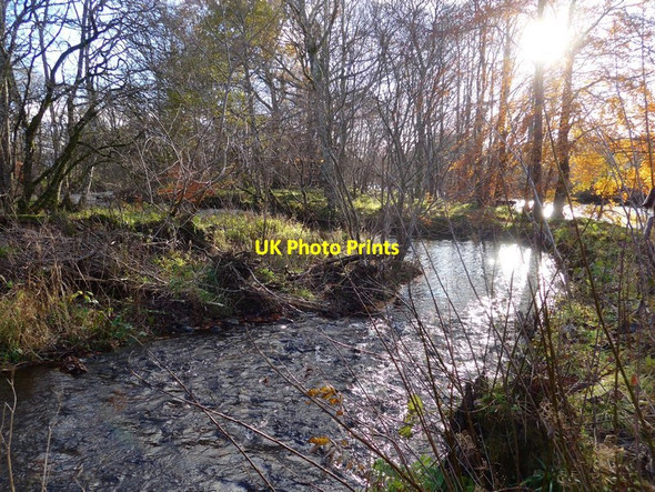 Photo 6"x4" Near the confluence of the Turret Burn and the River Earn Crieff\/NN8621 c2017