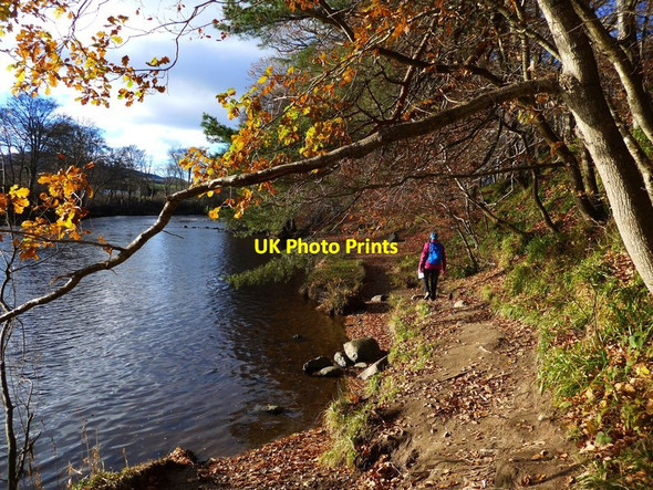 Photo 6"x4" Lady Mary's Walk, Crieff Crieff\/NN8621 c2017