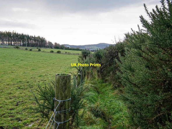 Photo 6"x4" Path by Coldwells Farm Croftnacriech c2017