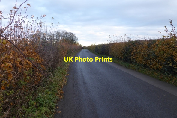 Photo 6"x4" Along Bar Lane Toulston c2017