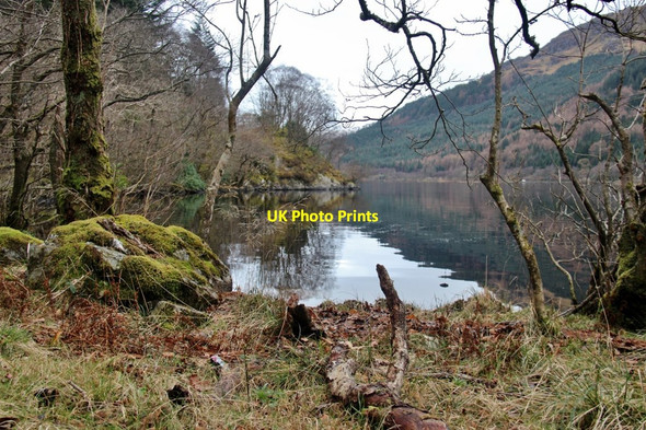 Photo 6"x4" Loch Eck Benmore\/NS1385 c2017