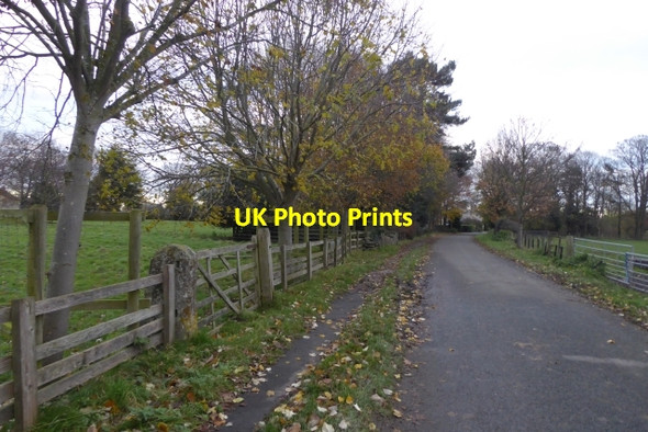Photo 6"x4" Croft Lane Tadcaster c2017