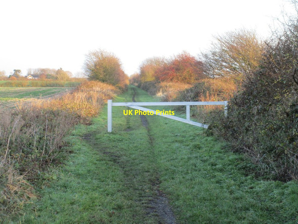 Photo 6"x4" The rail trail near Carr House Farm Ottringham c2017