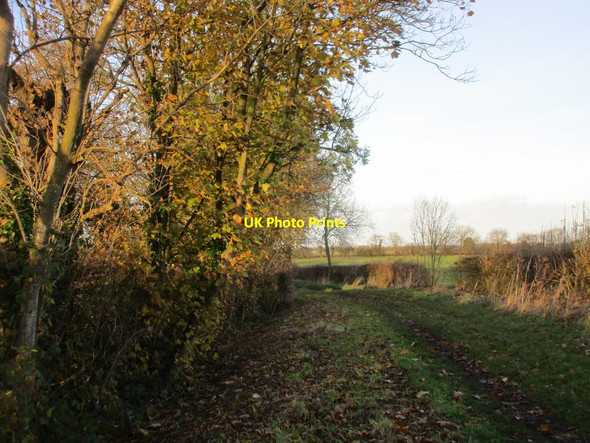 Photo 6"x4" New Road Keyingham c2017