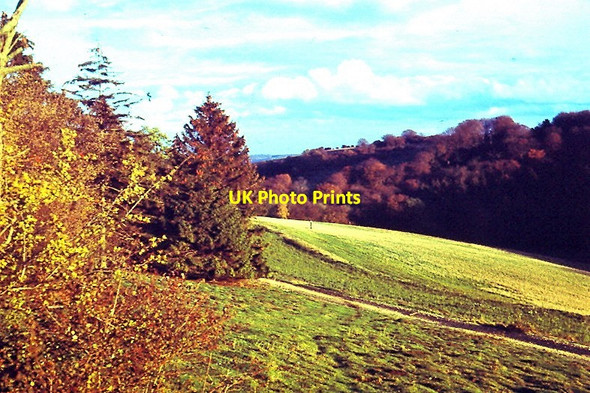 Photo 6"x4" Fuller Firs Woodway c1976