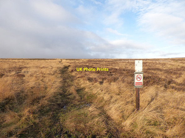 Photo 6"x4" Path onto Bingley Moor Eldwick c2017
