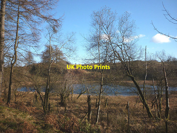 Photo 6"x4" Wharton Tarn Hawkshead Hill c2017