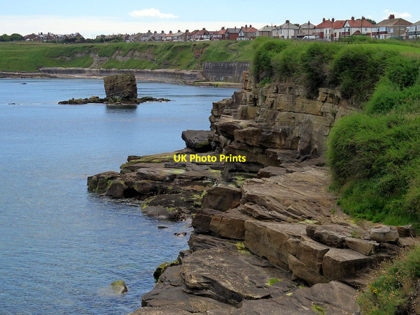 Photo 6"x4" Collywell Bay Seaton Sluice c2016
