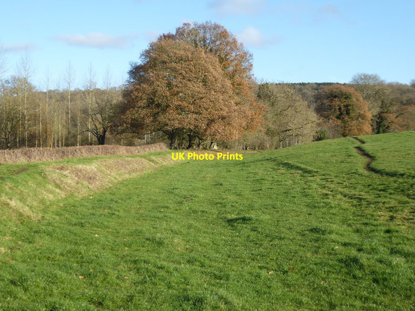 Photo 6"x4" The old Leominster Canal Leominster c2017