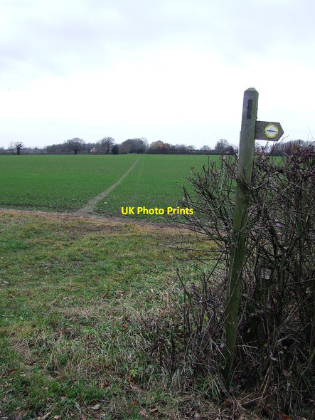 Photo 6"x4" Footpath And Sign Colegate End c2017