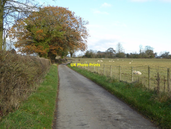 Photo 6"x4" Road to Upper Withers Hundre c2017